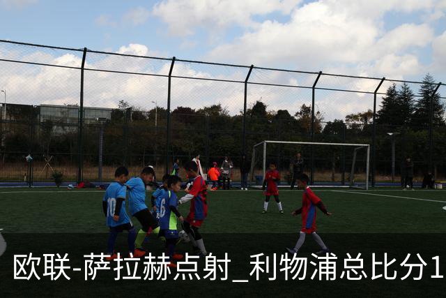 欧联-萨拉赫点射 利物浦总比分1-3亚特兰大无缘4强