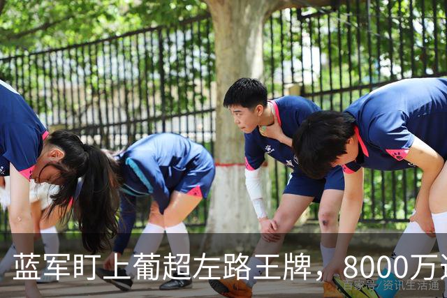 蓝军盯上葡超左路王牌，8000万违约金拦着，切尔西却已经敲门了